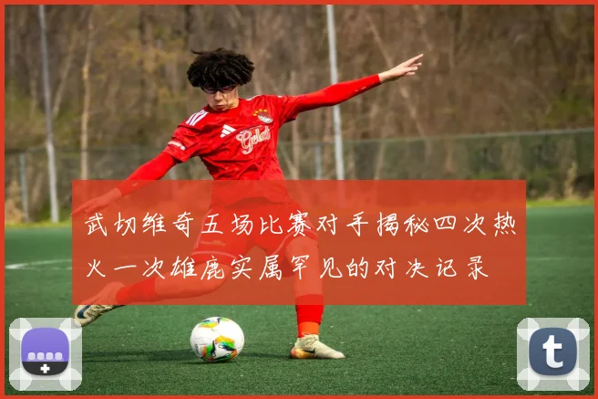 武切维奇五场比赛对手揭秘四次热火一次雄鹿实属罕见的对决记录