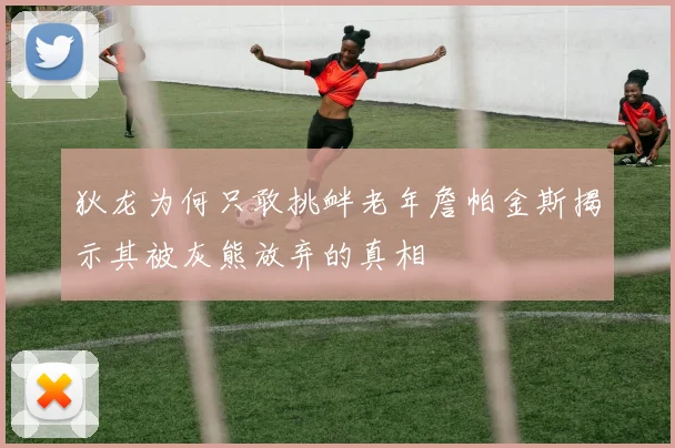 狄龙为何只敢挑衅老年詹帕金斯揭示其被灰熊放弃的真相
